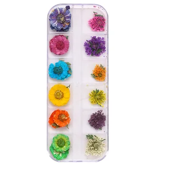 Настоящие Сухоцветы 3D Дизайн декора ногтей Советы 